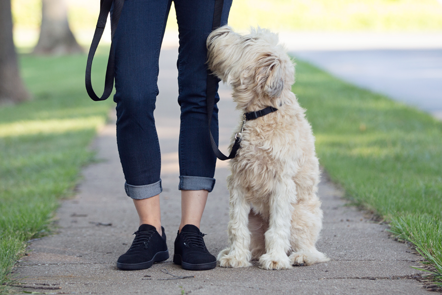 baabuk urban wooler sneakers