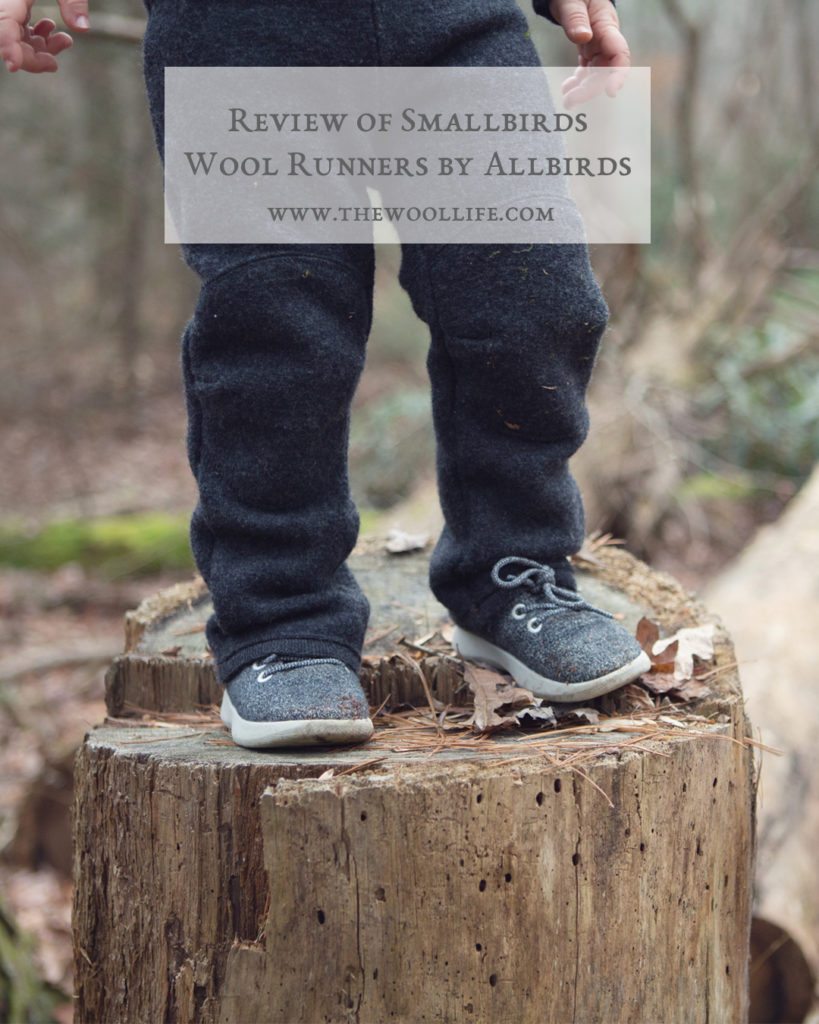 Smallbirds by Allbirds Review