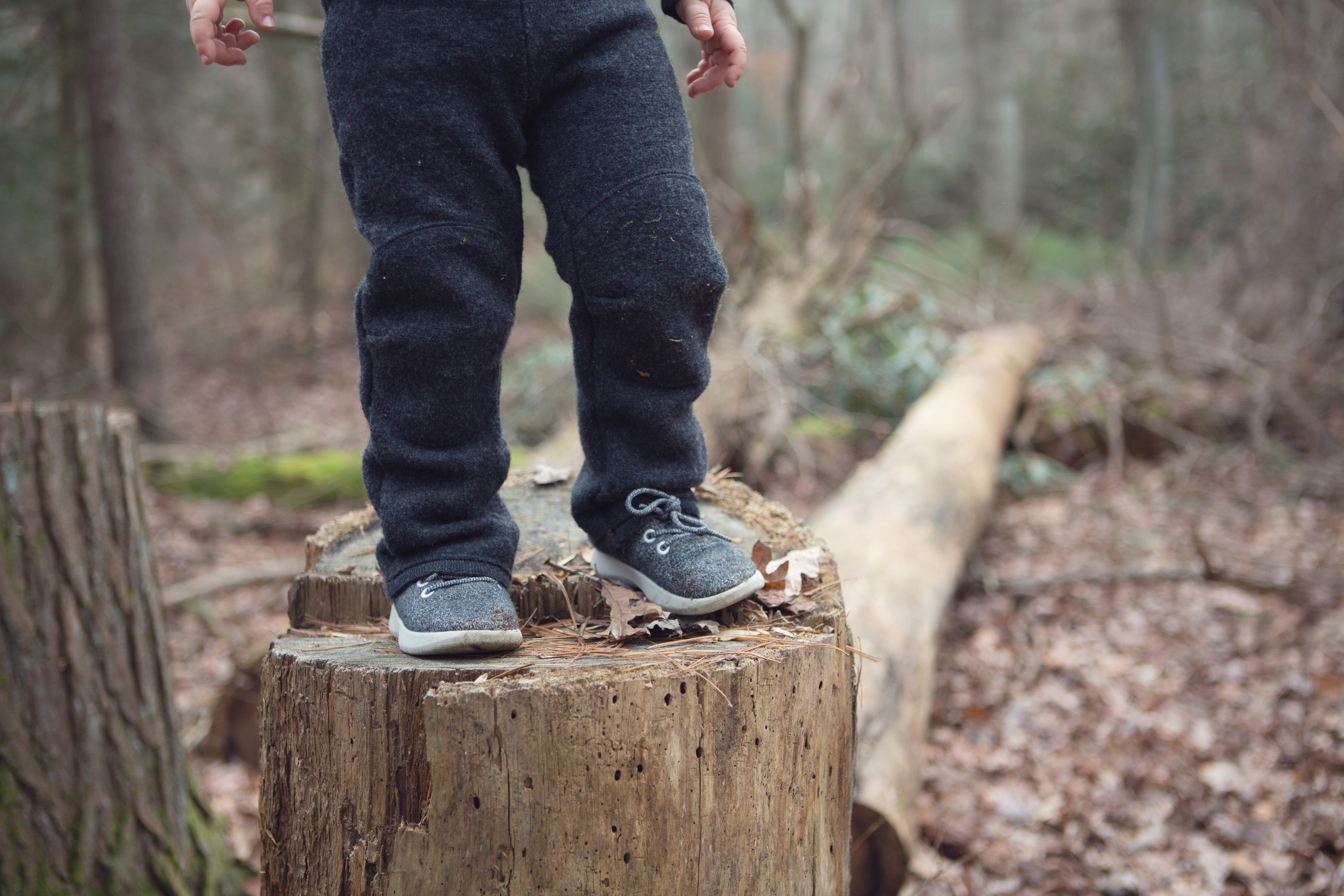 small bird shoes